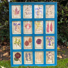 Load image into Gallery viewer, Turquoise Blue Handmade Pressed Flower Herbariums