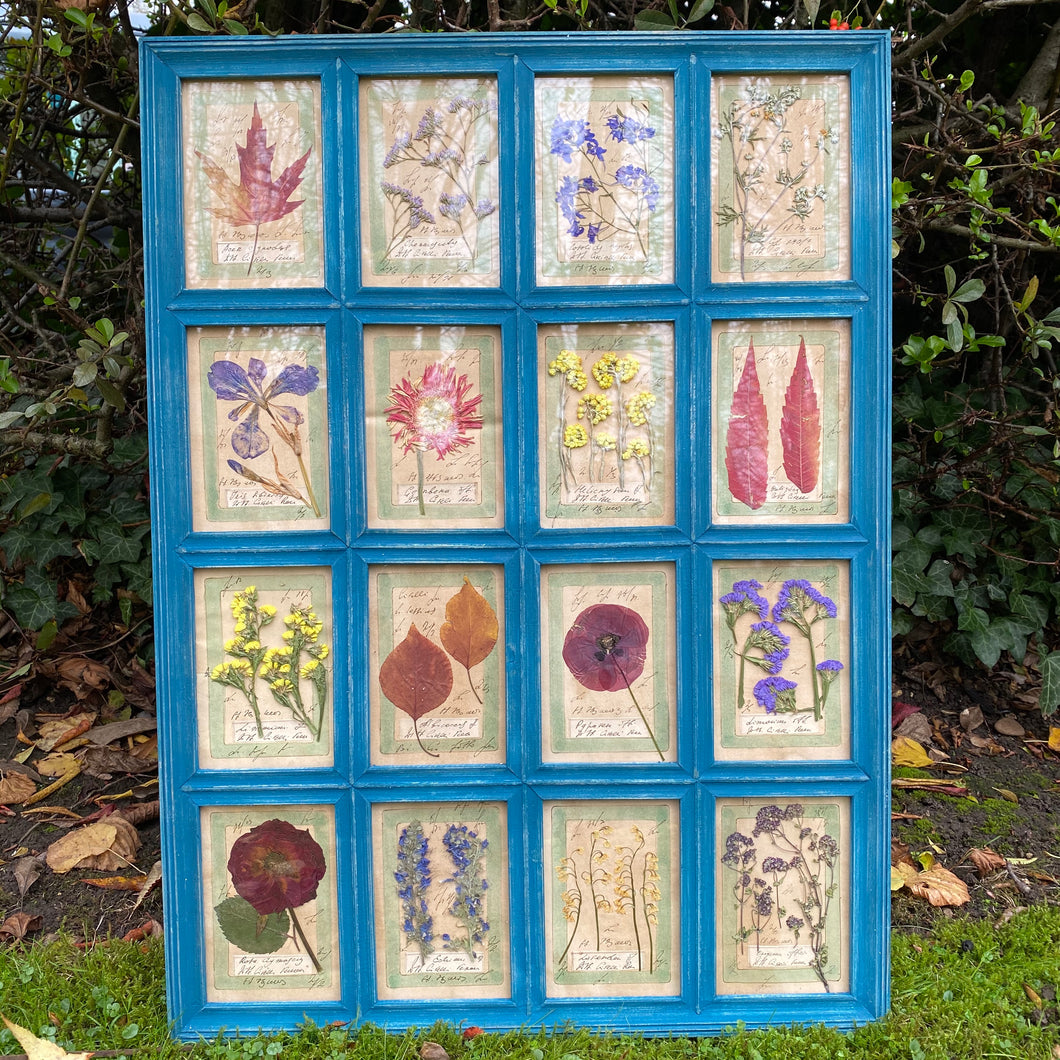 Turquoise Blue Handmade Pressed Flower Herbariums
