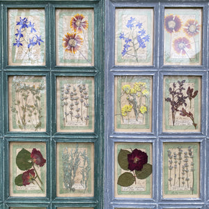 Washed Green Handmade Pressed Flower Herbariums