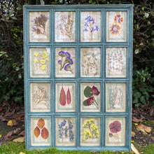 Load image into Gallery viewer, Washed Green Handmade Pressed Flower Herbariums