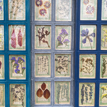 Load image into Gallery viewer, Yves Blue Handmade Pressed Flower Herbariums