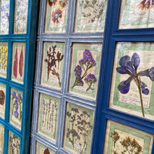 Load image into Gallery viewer, Yves Blue Handmade Pressed Flower Herbariums
