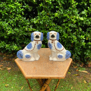 Blue Staffordshire Decorative Dogs